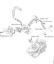 Moto-serras a gasolina (MS) MS 150 TC-E Binários de aperto da marca Stihl