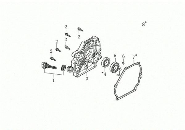 Crankcase cover MOTORE K800 H (EURO 5) Engine K800 H (EURO 5)