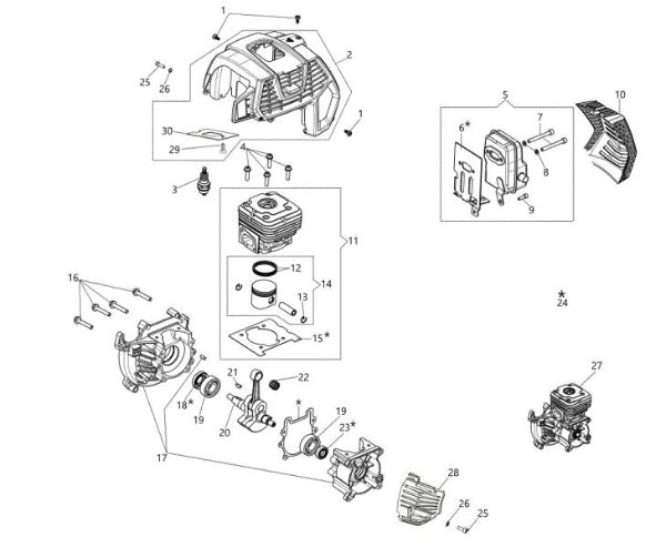 Motor BCH 50 BP (SEMAK) Desbrozadora